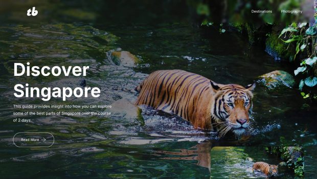 New travel website