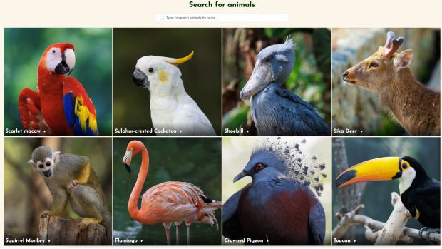 New web project Wildlife